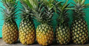 Ananasın Faydaları ve Kalorisi