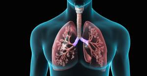 3 Günde Akciğerinizi Tertemiz Yapacak Detoks Tarifi
