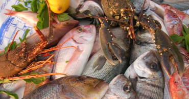Balığın Faydasını Arttırmak İçin İpuçları ve Öneriler