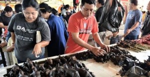 Çin'deki Yabani Hayvan Pazarı Tekrar Açıldı