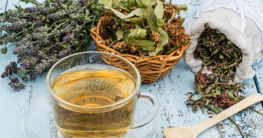 Karabaş otu ne işe yarar, faydaları nelerdir, çayı nasıl yapılır? Karabaş otu idrar yolu enfeksiyonunun doğal ilacı  