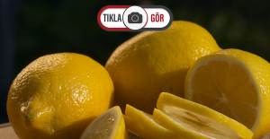 Haşlanmış Limon Diyeti İle Nasıl Zayıflanır? Haşlanmış Limon Suyu Kilo Verdirir?