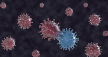 Mutasyonlu Virüsün Tespit Edildiği İller Açıklandı