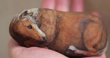 Japon Sanatçı Sıradan Taşları Minik Hayvanlara Dönüştürüyor