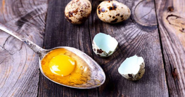 Demir Gibi Bir Bünye Veren Bıldırcın Yumurtasının Yararları