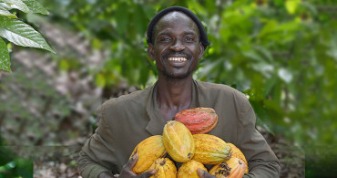 Kakaonun İlk Halinden Çikolataya Dönüşüm Hikayesi