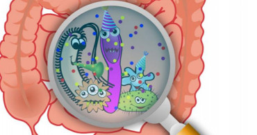İnsan Dostu Bakteriler: Prebiyotiklerin 10 Yararı!