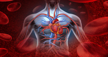 Kalp Krizini Tetikleyen Besinler