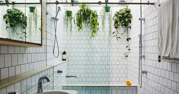 Banyoda Yetiştirilebilecek Bitkiler