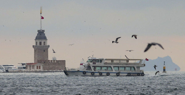 Yunusların İstanbullulara görsel şöleni