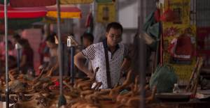 Çin'de Köpek Eti Festivali Başladı