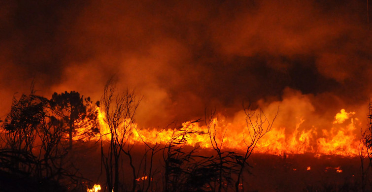 168 Yangın Kontrol Altında, 6 İlde Yangınlara Müdahale Devam Ediyor