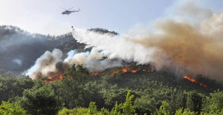 Antalya'da Meydana Gelen Orman Yangınlarında 80 Dekarlık Alan Küle Döndü