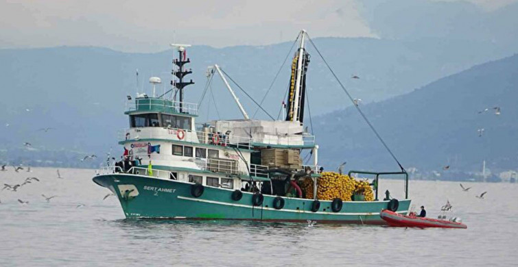 Böyle Bir Av Görülmedi! 40 Balıkçı Teknesi 40 Ton Hamsi Yakaladı