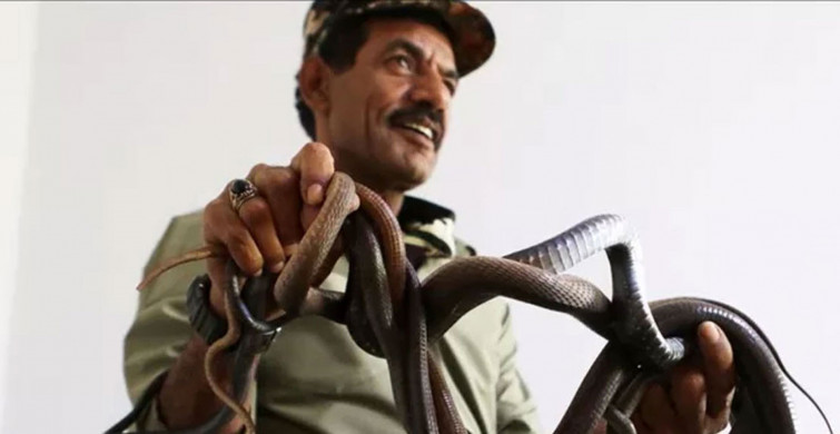 Bu adam çıldırmış! 33 yıldır yılanlarla yaşıyor ailesi artık onlar olmuş bir de onlara aşık