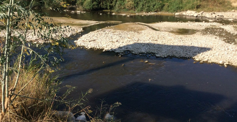 Büyük Menderes Nehri'ne Kuraklık Tehdidi