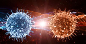 DSÖ'den Coronavirüs Açıklaması: Henüz Kanıt Yok