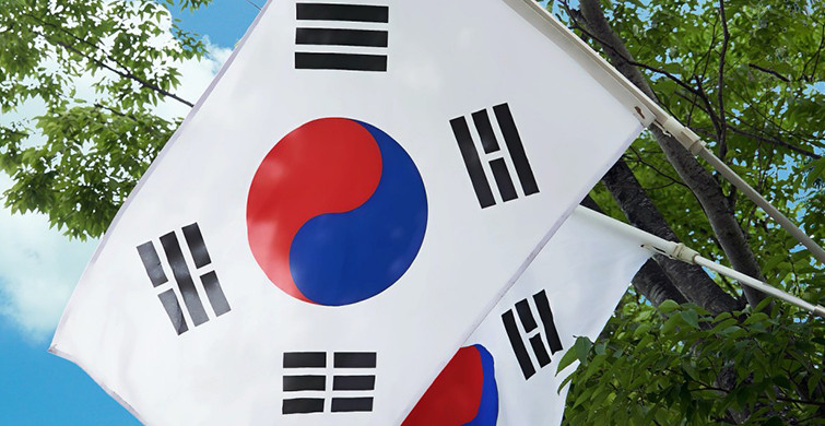 Güney Kore Yurt Dışı Gezi