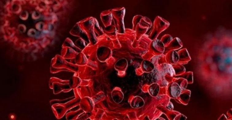 İtalya'da Yeni Mutant Virüs Tespit Edildi