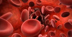 Kansere En Dirençli Kan Grubu Hangisi? Hangi Yiyecekler Kanserden Korur?