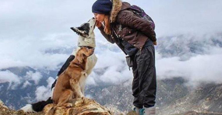 Köpekleriyle Kamp Yapan Çiftten 15 Muazzam Fotoğraf
