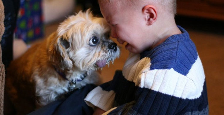 Köpeklerin Sevgi Olduğunu Kanıtlayan 12 Samimi Çekim