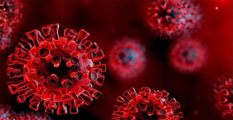 Koronavirüs Ölümleri Sebebiyle İnsanlar 16 Yıl Daha Az Yaşıyor