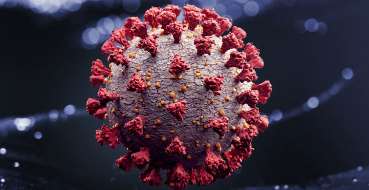Mutasyonlu Koronavirüs ile Alakalı Korkutan Uyarı