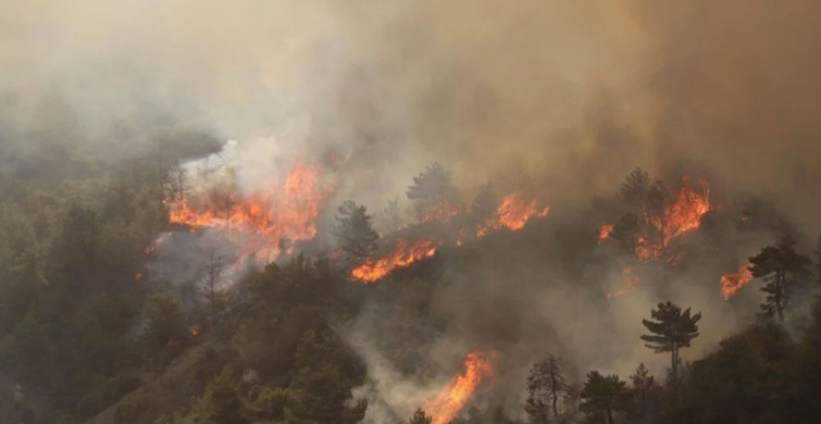 Orman Yangınlarının Tahrip Ettiği Alanların Uydu Görüntüsü Paylaşıldı