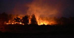 Gelibolu'daki Yangınının Bıraktığı Hasar Sabah Ortaya Çıktı