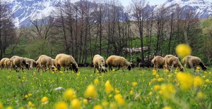 Ovacık'tan İlkbaharda Kartpostallık Manzara