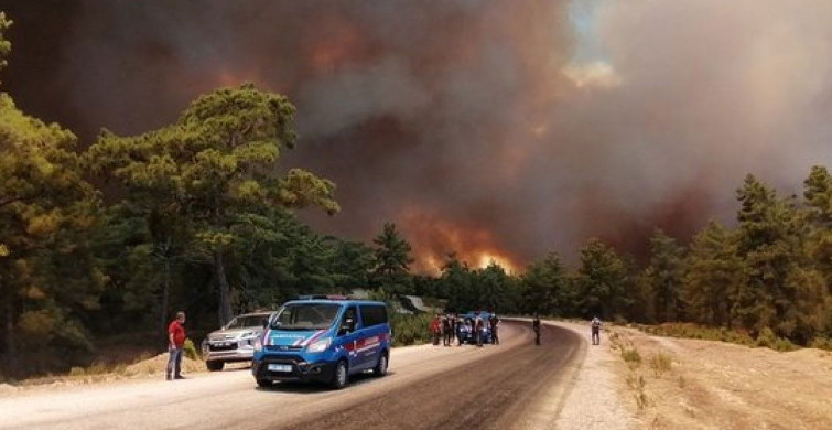 Tarım ve Orman Bakanlığı’ndan Türkiye'nin Ciğerini Yakan Orman Yangınlarıyla İlgili Açıklama
