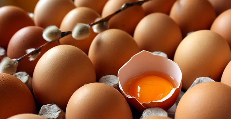 Sağlıklı Bir Tavuktan Çıkan Yumurta Nasıl Anlaşılır?