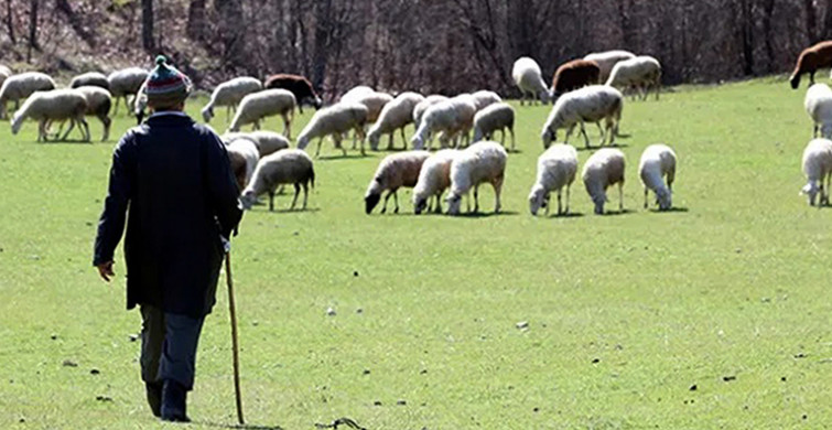 Toprağı eşeleyen çoban gördükleri karşısında şaşkınlığını gizleyemedi!