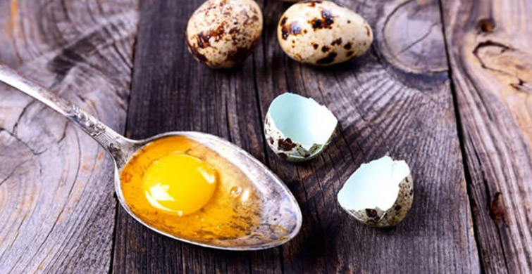 Demir Gibi Bir Bünye Veren Bıldırcın Yumurtasının Yararları