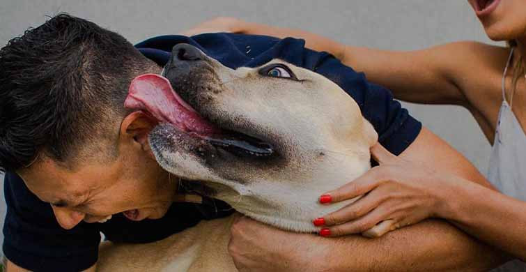Bir Türlü Sahibinin Fotoğraf Çekilmesine İzin Vermeyen Köpeğin Kareleri Gülümsetiyor