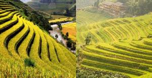 Çin’deki Pirinç Tarlaları Görenleri Kendine Hayran Bırakıyor