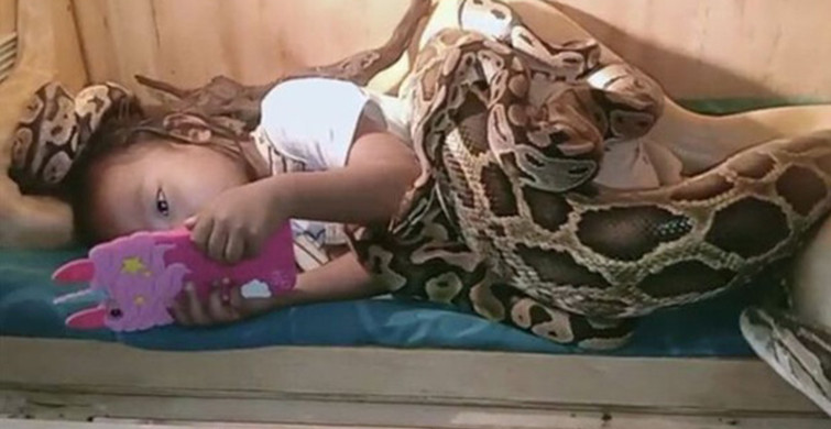 Dev Yılanların Minik Kızı Sardığı Video Sosyal Medyayı Salladı