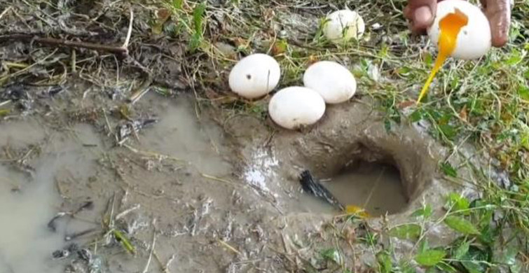 Yumurtayla Balık Avlayan Adamın Görüntüleri Viral Oldu!