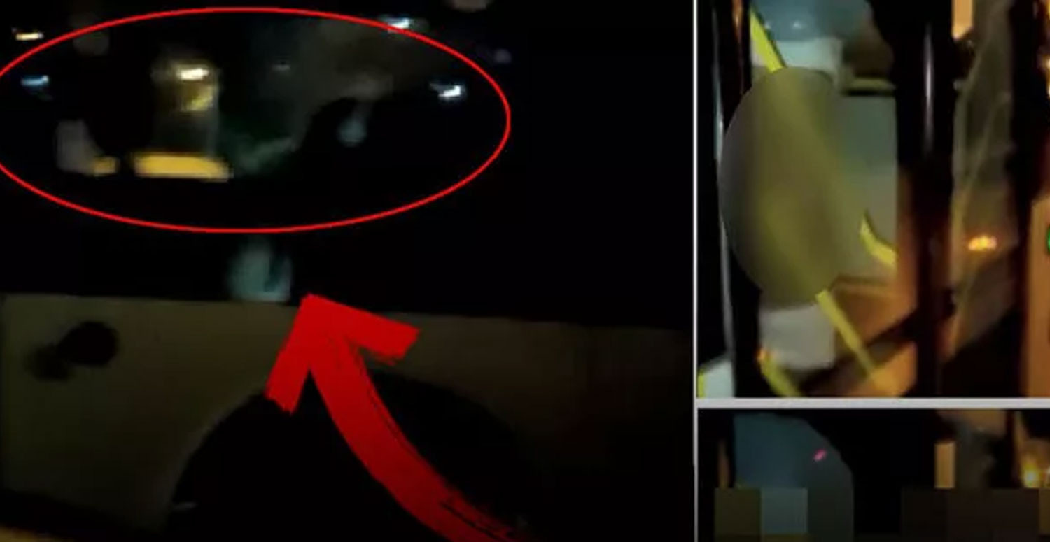 eda balı hello mother fakır