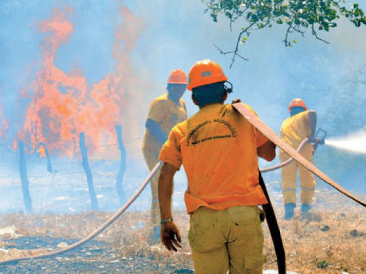 OGM 5 bin yangın işçisi başvuru şartları