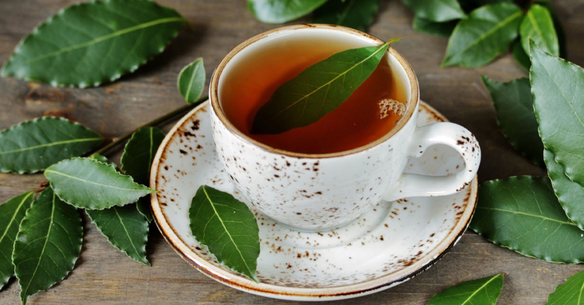 Πώς να φτιάξετε τσάι από φύλλα δάφνης;