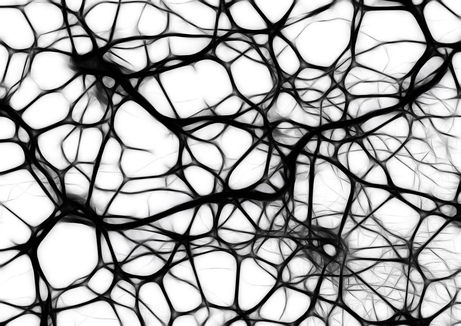 nöronlar arasındaki bağlantı