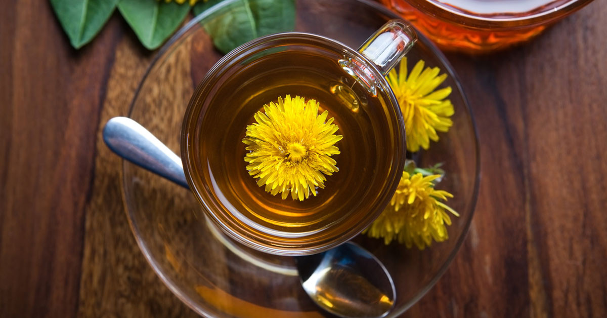 Karahindiba çayının faydaları nelerdir?