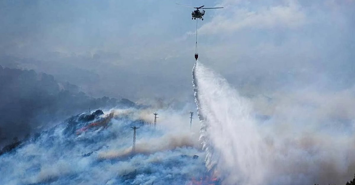 AFAD’dan orman yangınlarına ilişkin açıklama: İzmir ve Aydın’daki 10 mahalle afet bölgesi ilan edildi