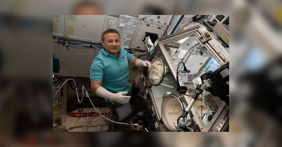 Alper Gezeravcı'nın Uluslararası Uzay İstasyonu'ndaki (ISS) çalışmaları sırasında gerçekleştirdiği 13 deneye ait örnekler, geçen hafta dünyaya ulaştığı öğrenildi.