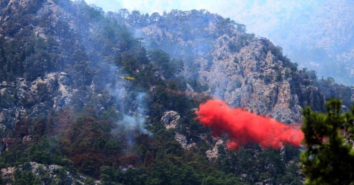 Antalya Kemer Orman Yangını