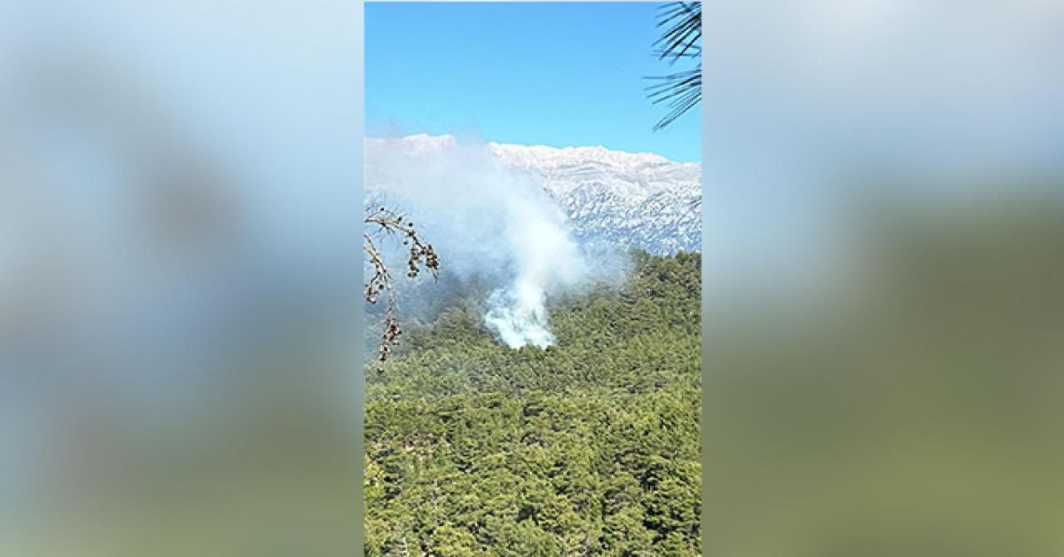 Antalya Manavgat’ta orman yangınları: Ekipler müdahale ediyor