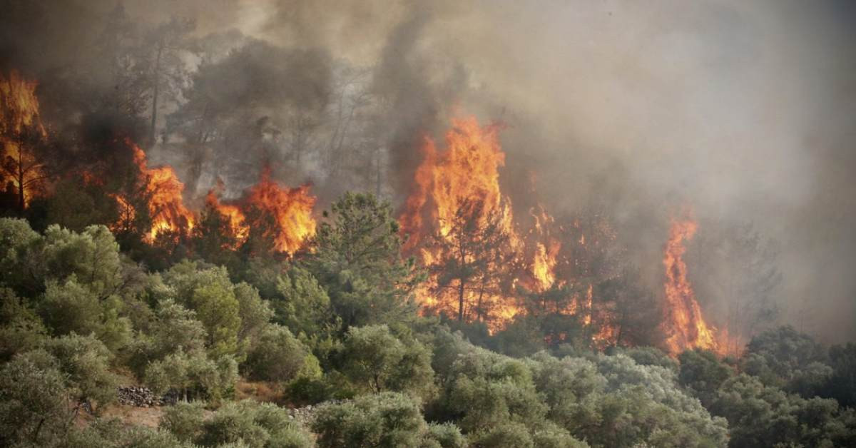 Antalya Orman Yangını