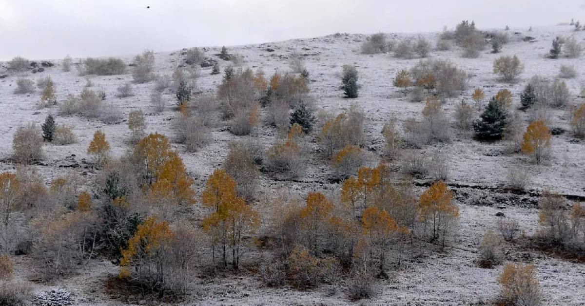 Ardahan Kar Yağışı